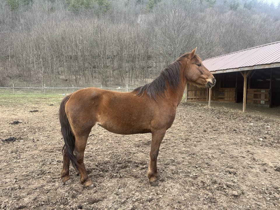 Shayna full body shot