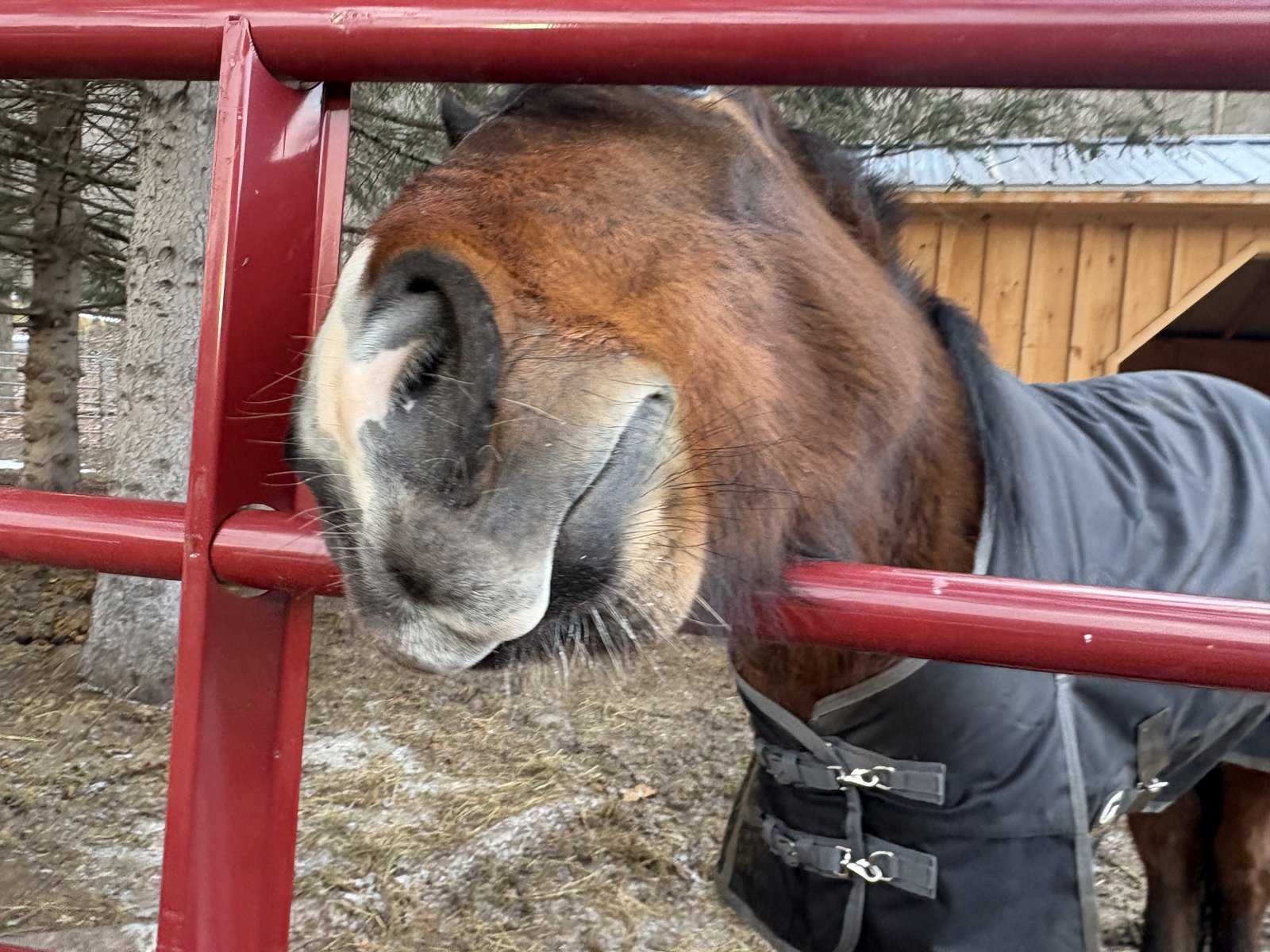 Photo of Monty