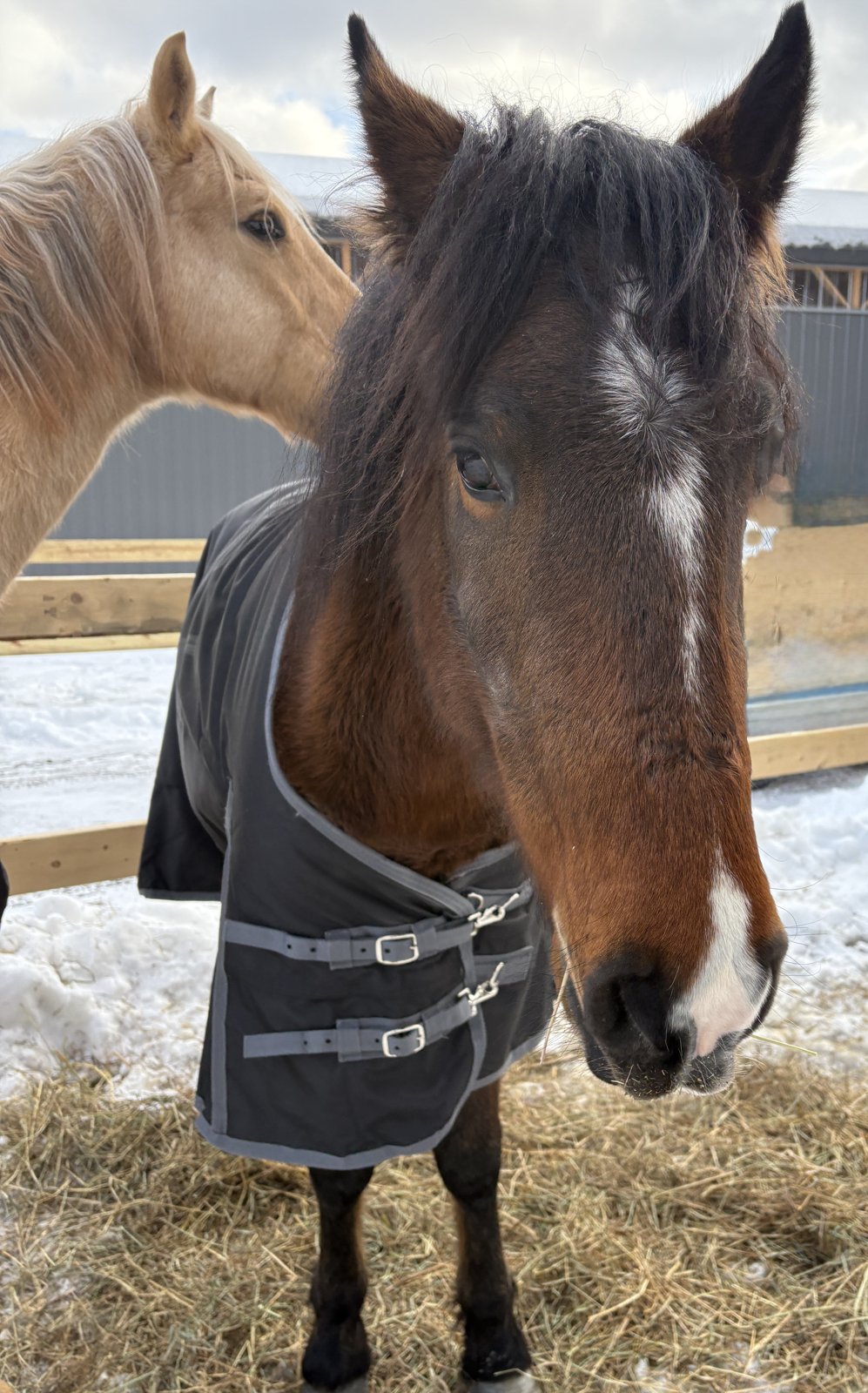 Photo of Monty