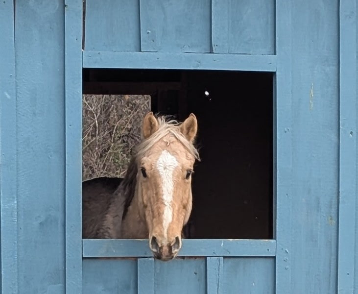 Photo of Sunbeam